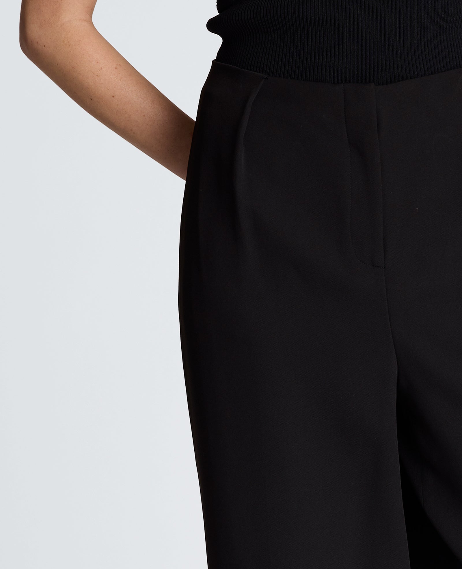 Fly Front Tapered Leg High Waisted Pleated Pant | Kenneth Cole BLACK