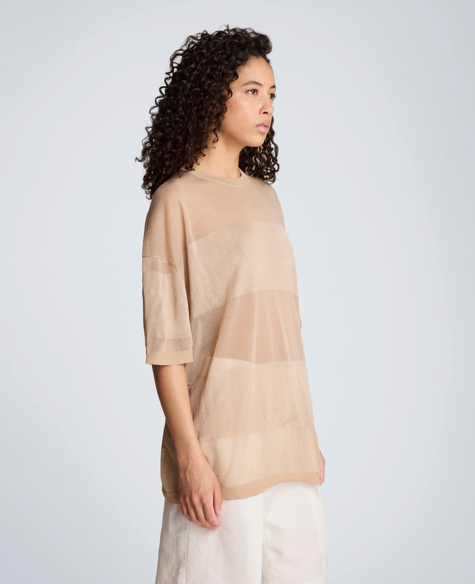 Shiny Semi Sheer Stripe Crew Neck | Kenneth Cole TIMELESS TAUPE