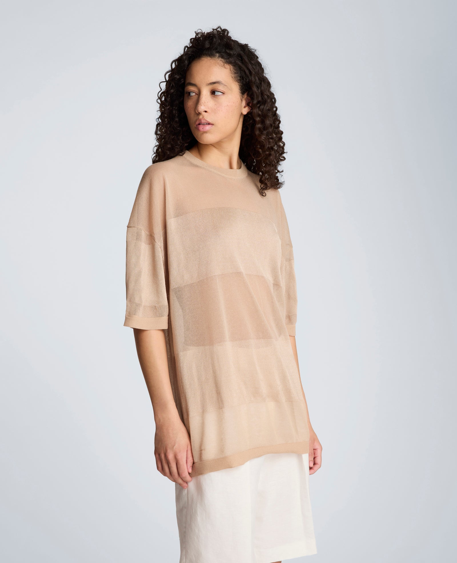 Shiny Semi Sheer Stripe Crew Neck | Kenneth Cole TIMELESS TAUPE