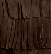 Fringe Crossbody Pouch Bag | Kenneth Cole DARK BROWN